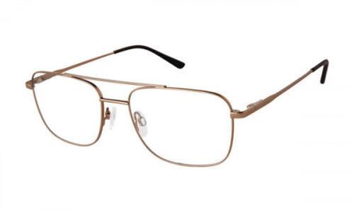 Aristar AR 18659 Eyeglasses