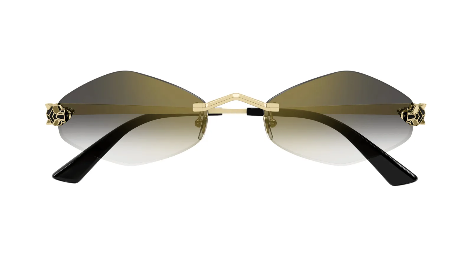 CT0433S Sunglasses - Cartier Authorized Retailer | coolframes.com