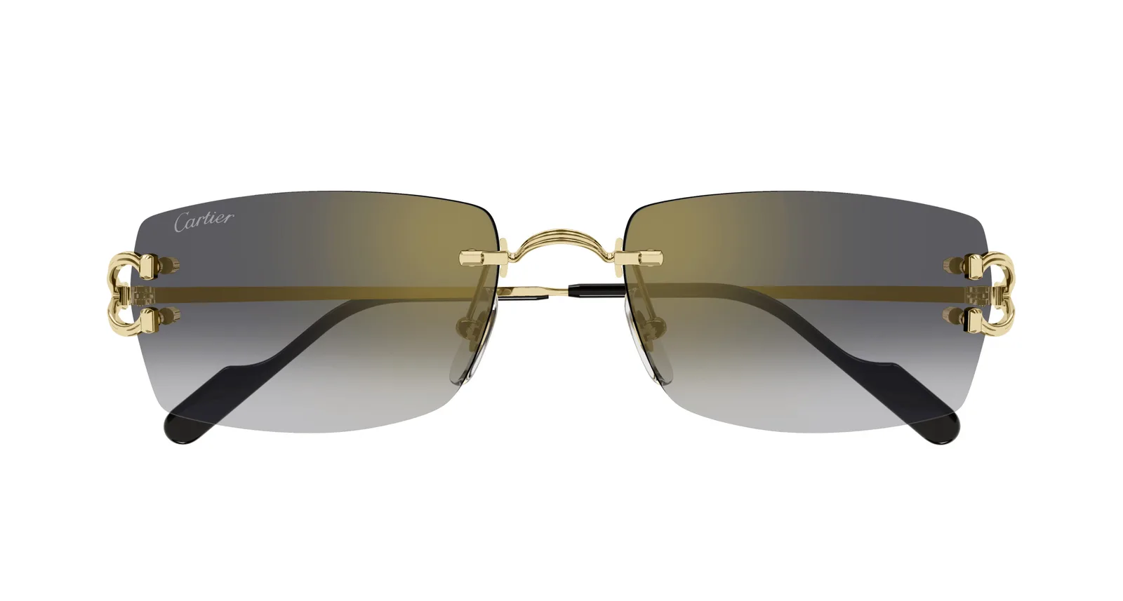 CT0550S Sunglasses - Cartier Authorized Retailer | coolframes.com