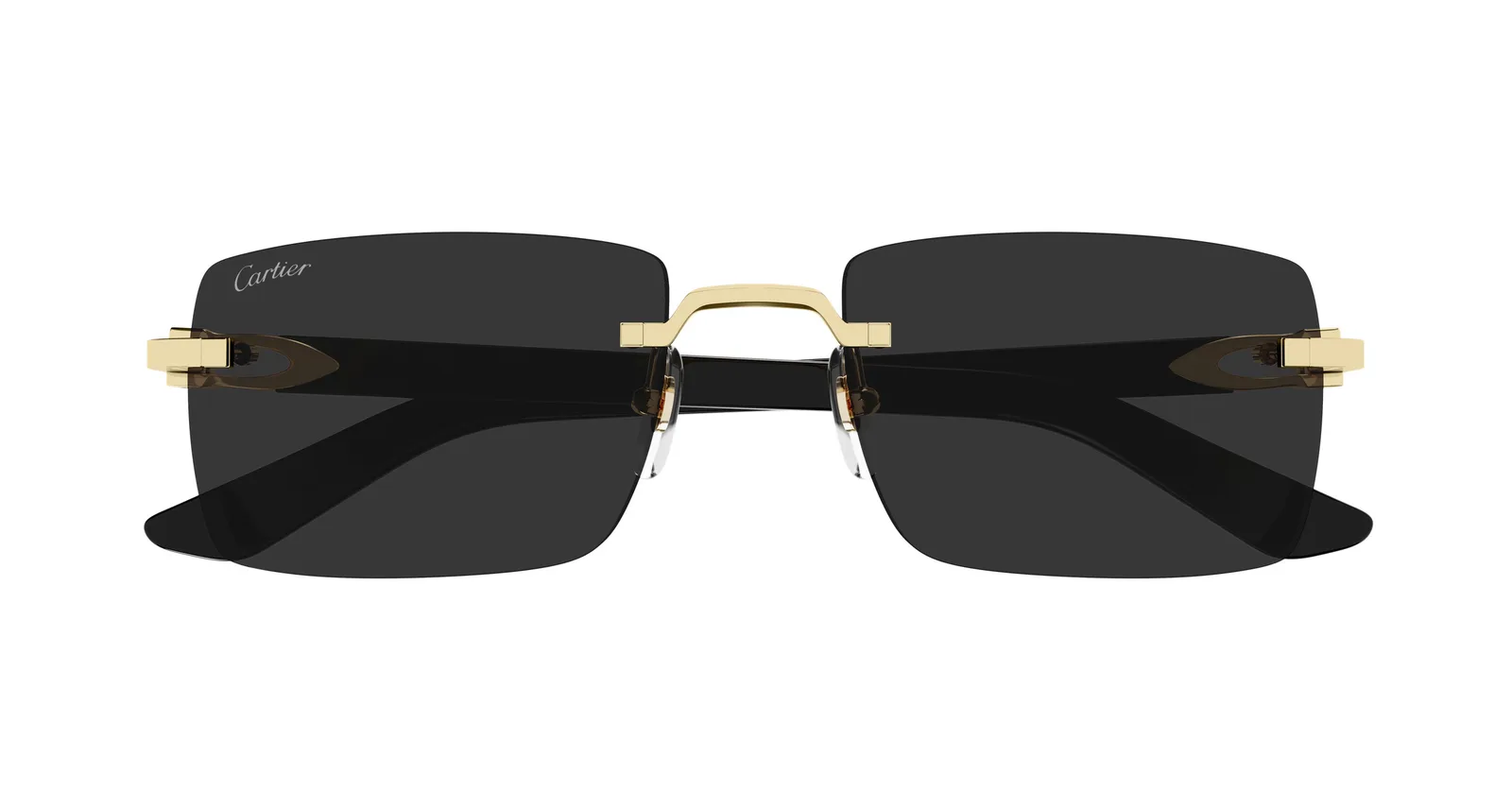 CT0579S Sunglasses - Cartier Authorized Retailer | coolframes.com