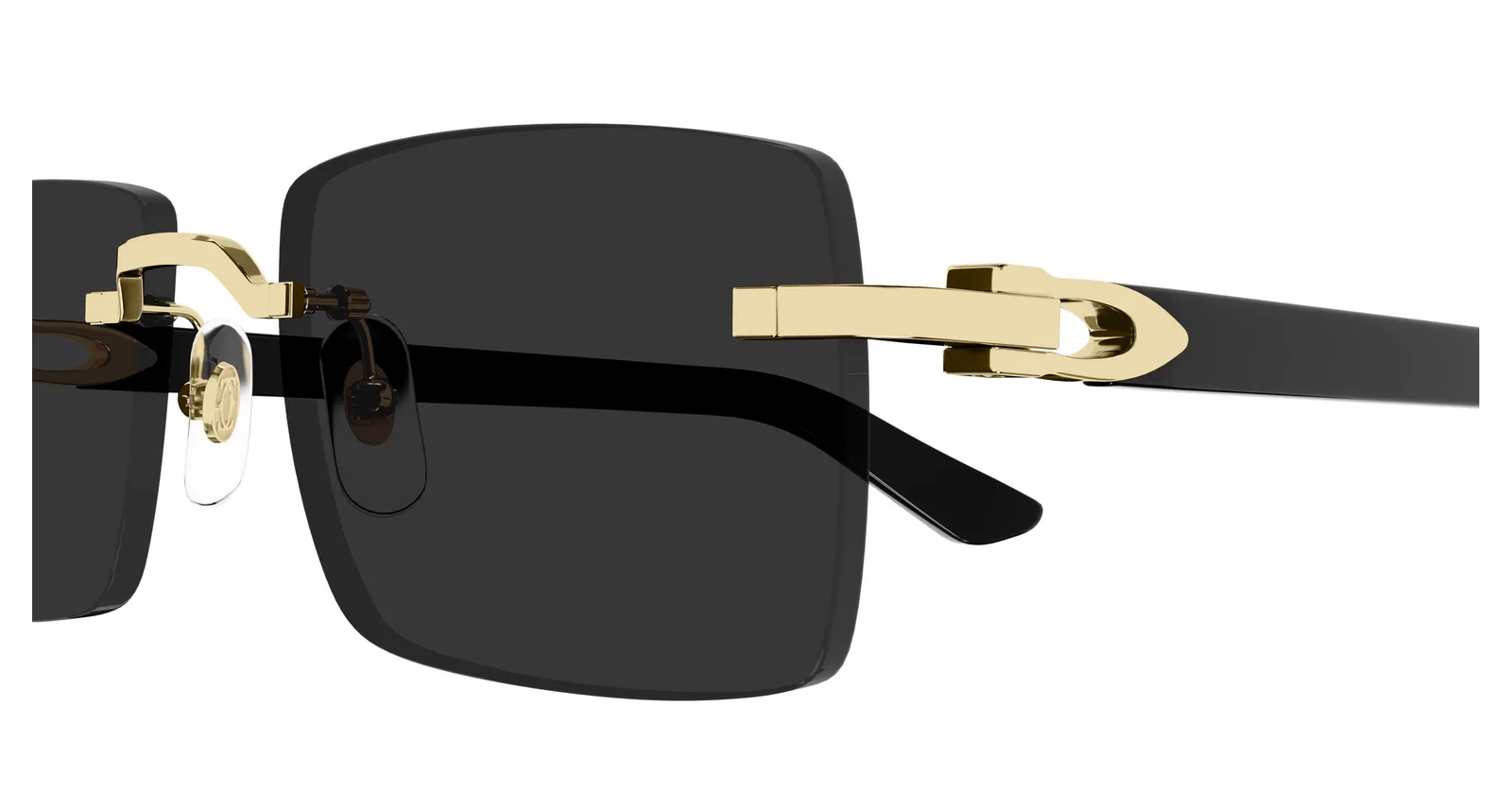 CT0579S Sunglasses - Cartier Authorized Retailer | coolframes.com