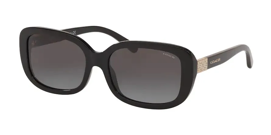 HC8299 L1142 Sunglasses - Coach Authorized Retailer | coolframes